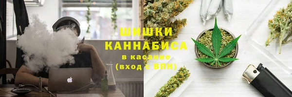 сатива Армянск