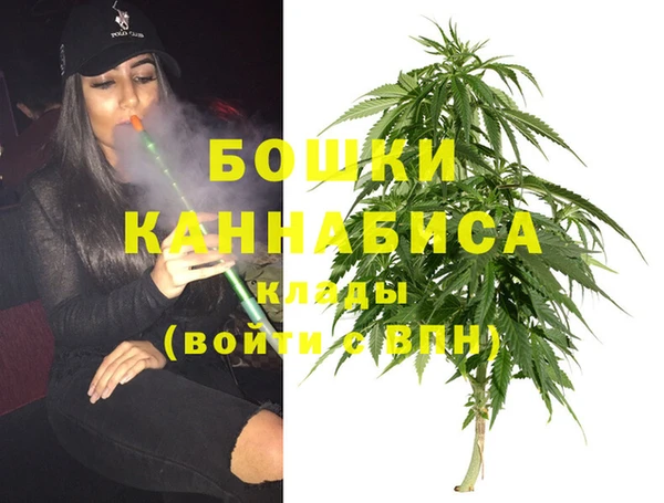 сатива Армянск